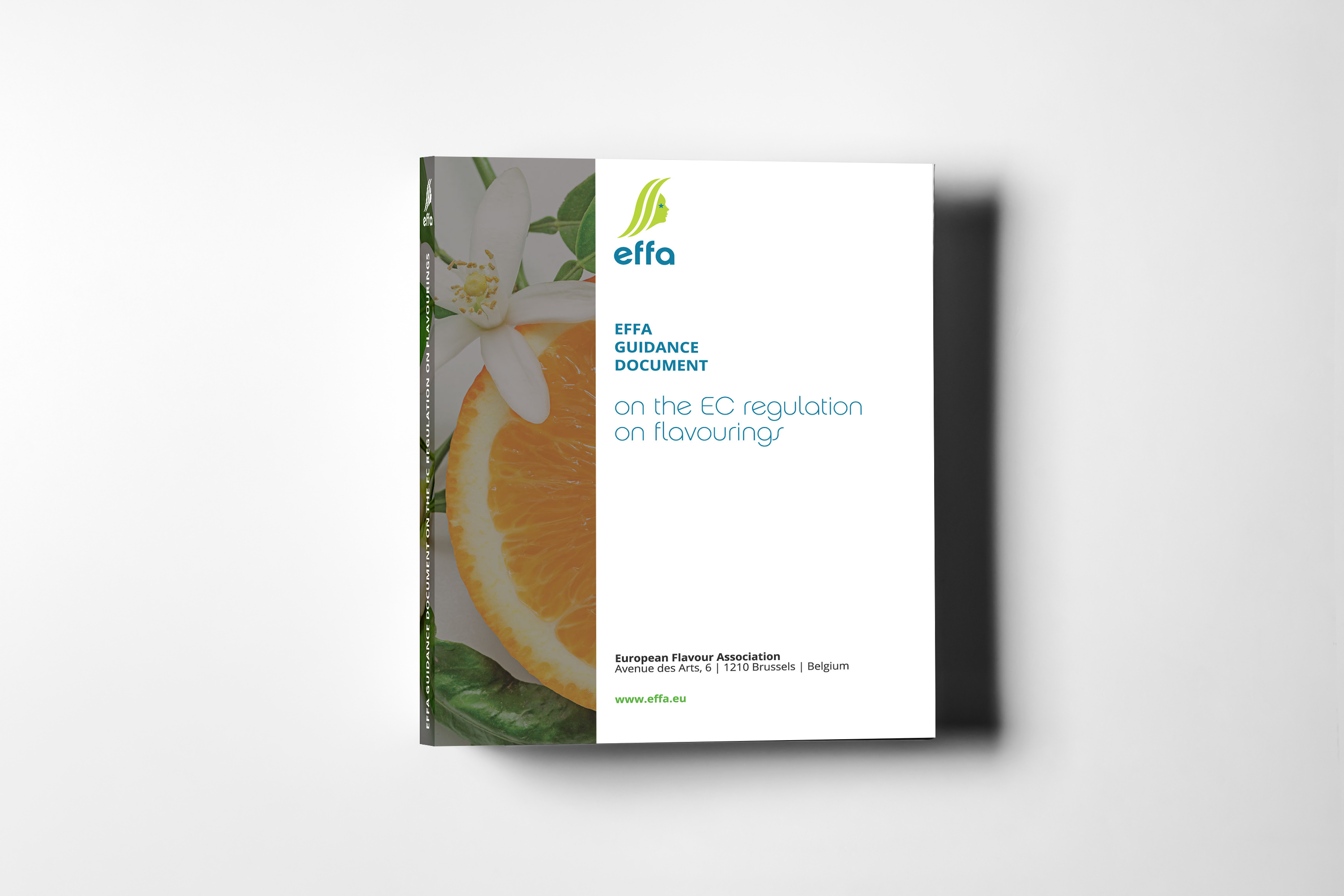 EFFA Guidance Document